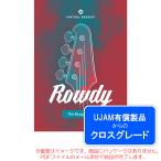 UJAM VIRTUAL BASSIST ROWDY 2roiyaliti( Cross комплектация ) загрузка версия надежный Япония стандартный товар!