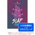 UJAM VIRTUAL BASSIST SLAProiyaliti( Cross комплектация ) загрузка версия надежный Япония стандартный товар!