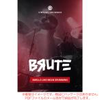 UJAM VIRTUAL DRUMMER BRUTE загрузка версия надежный Япония стандартный товар!