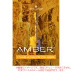 UJAM VIRTUAL GUITARIST AMBER 2 загрузка версия [ самый короткий этот день почтой поставка товара ]