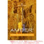 UJAM VIRTUAL GUITARIST AMBER 2 ダウンロード版 安心の日本正規品！