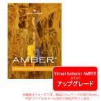 UJAM VIRTUAL GUITARIST AMBER 2 アップグレード ダウンロード版 安心の日本正規品！