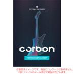 UJAM VIRTUAL GUITARIST CARBON загрузка версия [ самый короткий этот день почтой поставка товара ]