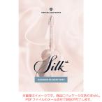 UJAM VIRTUAL GUITARIST SILK 2 загрузка версия [ самый короткий этот день почтой поставка товара ]