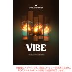 UJAM VIRTUAL PIANIST VIBE загрузка версия [ быстрый! самый короткий этот день почтой поставка товара ]