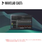 STEINBERG WAVELAB CAST 2 загрузка версия надежный Япония стандартный товар!