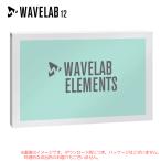 STEINBERG WAVELAB ELEMENTS 12 загрузка версия надежный Япония стандартный товар!