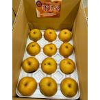 【訳ありご自宅用】新甘泉梨 約5kg〇10〜18玉入 鳥取県産 梨 しんかんせん なし 果物 お取り寄せ サニーフルーツ岡山 送料無料