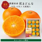 .. какой 4L~L примерно 3kg 8~15 шар входить превосходящий товар Ehime префектура производство несессер входить подарок подарок фрукты фрукты мандарин Sunny фрукты Okayama 