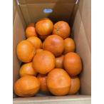 ショッピング甘平 甘平 3L〜2L 約5kg 青秀 愛媛県中島産 贈答用 ギフト 果物 フルーツ みかん かんぺい サニーフルーツ岡山