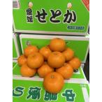  Ehime префектура средний остров производство . или примерно 2.5kg 0L размер фрукты фрукты мандарин Sunny фрукты Okayama 