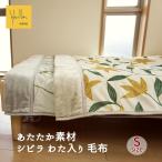 毛布 シングル シビラ 中わた入り 暖か Sybilla フローレス リッチ 冬 暖かい フランネル 約140cm×200cmおしゃれ かわいい あったか あたたか