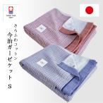 ガーゼケット シングル 今治 4重 日本製 今治産 140x190cm おしゃれ デザイン マルチボーダー 綿100% 丸洗い肌掛け 夏 ガーゼ