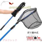  сетка для сачка рыболовная сеть складной ( большой 3m) 3 уровень эластичный длина регулировка возможность рыболовные снасти compact рыбалка сеть рыба рыбалка перевозка высшее сачок круглая сеть складной 