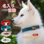 猫 犬 首輪 名入れ ふわふわ リード