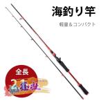  искусственная приманка удочка 2.1m рыбалка удилище море удочка удочка удилище морская рыбалка уголь элемент волокно 