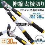  обрезка на высоком месте basami легкий эластичный ножницы для обрезки ветка порез .. обрезка на высоком месте . храпового типа обрезка . futoshi ветка порез .. высота ветка порез ветка порез .. ветка .. ножницы ветка порез .basami высота ветка .