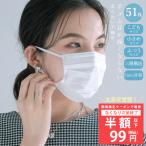 マスク 小さめ プリーツマスク 子供用 不織布マスク 大きめ 使い捨てマスク 大人用 大容量51枚 3層構造 平ゴム5mm 耳が痛くならない 花粉対策 99% 送料無料
