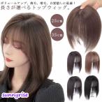 ウィッグ 部分ウィッグ 部分かつら 