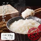 米 30kg お米 コシヒカリ ブレンド米 送料無料 白米 業務用米 まとめ買い（北海道・九州+300円）離島不可