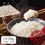 米 お米 30kg コシヒカリ ブレンド米 送料無料 白米 新米 令和3年 業務用米 まとめ買い(北海道・九州+300円)離島不可