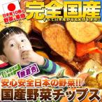 国産 野菜チップス お試し