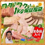 お歳暮 おせいぼ ギフト ハム詰め合わせ ワクワク1kg 保証福袋 送料無料 訳あり 福袋 冷凍 ハム ベーコン ソーセージ ミートローフ【お節・クリスマス】