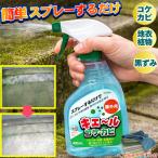  мох удаление медицинский koke плесень брать . спрей тип плесень брать . плесень . взяв . наружная стена уборка веранда вход плитка koke брать .. камень . уборка .. уборка товары гаснет .... сделано в Японии 