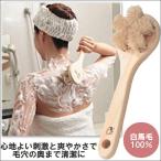 ボディブラシ 馬毛 背中 すっきり 
