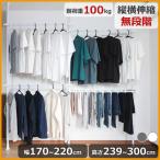 公式 180日延長保証 つっぱり棒 2段 耐荷重100kg 伸縮 高さ調節 ハンガーラック 縦 長い 突っ張り棒 ポールハンガー 省スペース SunRuck SR-TH02SL SR-TH03SL