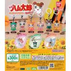 とっとこハム太郎 めじるしアクセサリー ちゅりー! [全6種セット