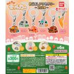 PUI PUI プイプイ モルカー めじ