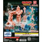 キン肉マン キンケシ24 [レア含む全13種セット フルコンプ] ガチャガチャ カプセルトイ
