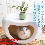 猫ハウス キャットハウス 猫用 ベッドベッド 小型犬 子猫 椅子 インテリア PP樹脂 家具 汚れに強い 丸洗い 多匹乗り可能 ミニディスク 48*31*29cm