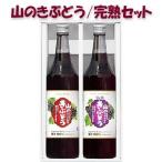 ショッピングお中元 ジュース お中元　佐幸本店 完熟山のきぶどう・山のきぶどうセット 600ml×２本 山ぶどう ジュース