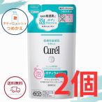 ショッピングキュレル 花王 キュレル 泡ボディウォッシュ つめかえ用 380ml 全国送料無料 ポイント消費に Kao Curel 2個セット