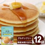 ポイント消化 送料無料 500円 お試し 米粉パンケーキ ミックス 200g グルテンフリー 国産 米粉 小麦アレルギー アルミフリー 食品