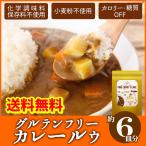 ポイント消化 送料無料 お試し カレールー カレー粉 カレーパウダー 無添加 小麦不使用 グルテンフリー ファイン カレーフレーク 120g