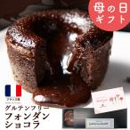 母の日 母の日ギフト フォンダンショコラ 3個セット グルテンフリー フランス直輸入 送料無料 冷凍スイーツ ギフト プレゼント