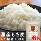 もち麦 国産 もち絹香 4.8kg (800g×6袋) 栃木県産