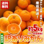 みかん 愛媛県産 訳あり 約5kg 17〜25玉  送料無料 産地直送  産直 愛媛みかん 甘い 箱買い ミカン 蜜柑 自宅用 フルーツ わけあり ギフト プレゼント