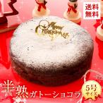 クリスマスケーキ 2020 半熟 ガトーショコラ 5号 サイズ チョコレート Xmas ケーキ チョコ 予約 宅配 パーティー お取り寄せ ギフト プレゼント