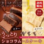 チョコレートケーキ 選べる うっとりショコラ ムース 3本セット [ ビター ホワイト ］ 送料無料 お取り寄せ スイーツ 冷凍 宅配 ギフト プレゼント