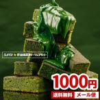 チョコレートケーキ SUPER抹茶ガトーショコラバー 10本入り 宇治抹茶使用 お試し 送料無料 ポイント消化 メール便 1000円ぽっきり セール