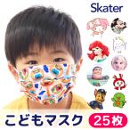 マスク 子供 不織布 キャラクター ディズニー サンリオ キッズ スケーター プリーツマスク 25枚入り