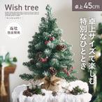 クリスマスツリー 卓上ツリー コンパクトツリー LEDライト付き おしゃれ シンプル コンパクト 北欧 クリスマス Xmas リビング 玄関 子供部屋 Wish(ウィッシュ)