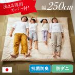  сделано в Японии Восток . Phil - - moni i использование Family матрас футон матрац 4 человек для 250x200cm матрац с чехлом матрас футон с чехлом futon futon семья ребенок взрослый 2 цвет соответствует 