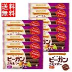ショッピングレーズン ビーガンカカオバー ラムレーズン ×10個セット UHA味覚糖 ビーガン 栄養補助食品 デーツ 乳・卵・小麦・精製糖不使用 添加物不使用 送料無料 ☆3 【3167】