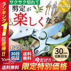 剪定ばさみ 女性用 ケース付き 剪定鋏 剪定バサミ 剪定はさみ ケース ベルト 剪定ハサミ 強力 バネ  太い枝 枝切 園芸