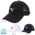 プーマ（PUMA）（メンズ）TRAINING MESH 